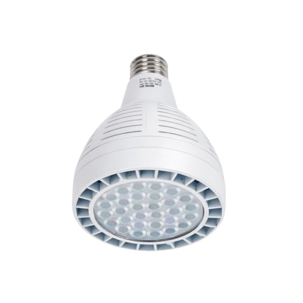 PAR30 LED